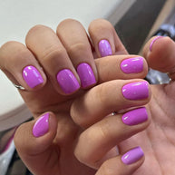 Viola