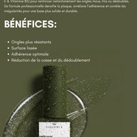 FIBER BASE