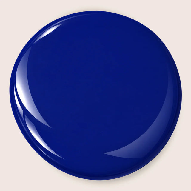 NEON NAVY