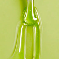 Jelly Tulip