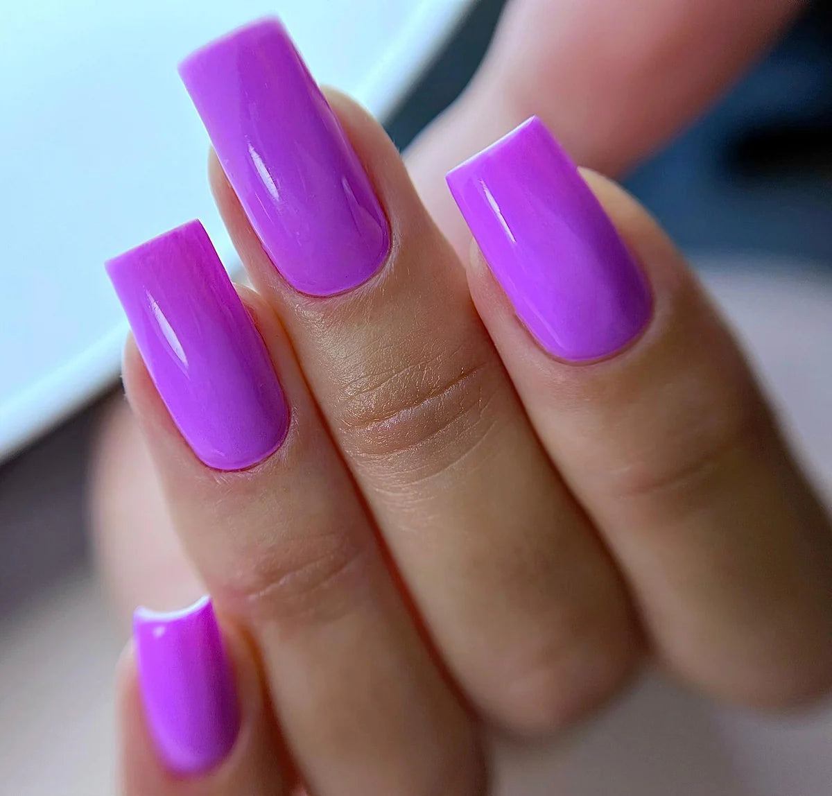 Viola