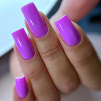 Viola