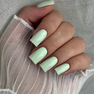 Powder Mint