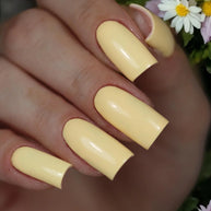 Daisy