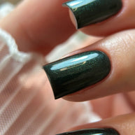 Seaweed